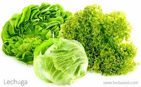LECHUGA ORG I 500GRS APROX
