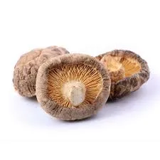 Hongos Shitake Secos 25grs