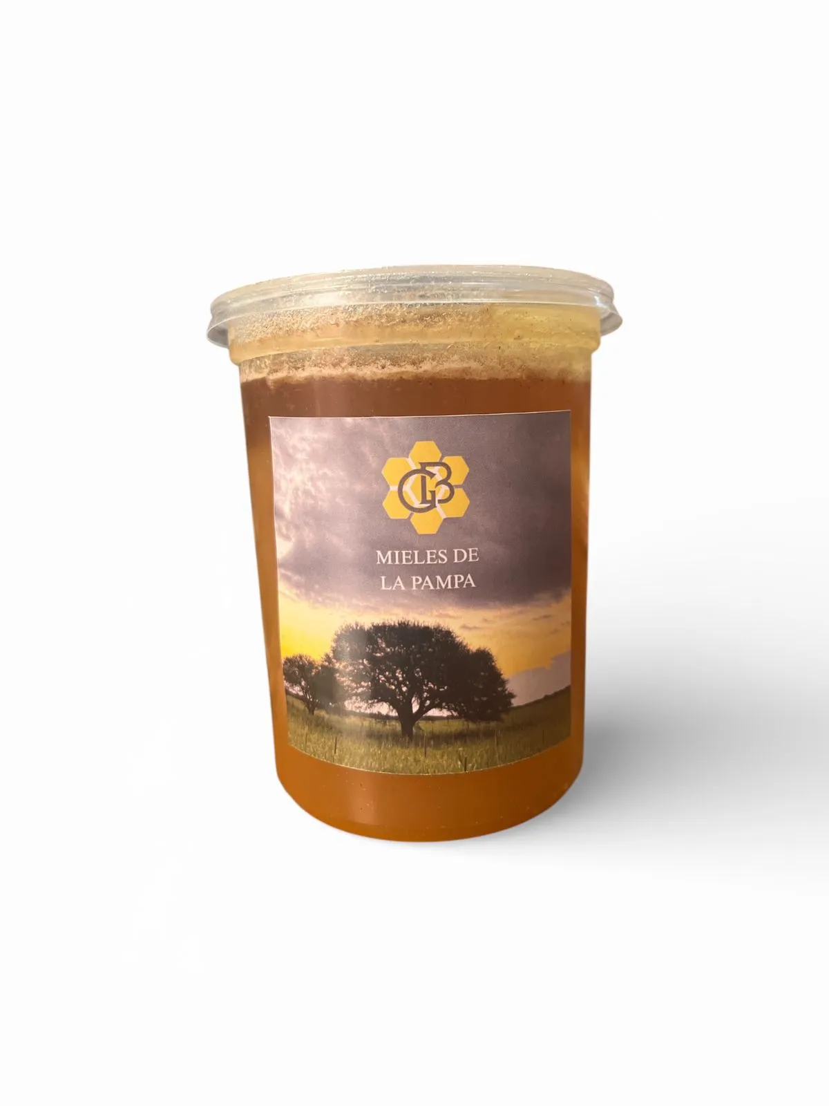 Miel de monte pura "Mieles de Pampa"  I PESO 500gr