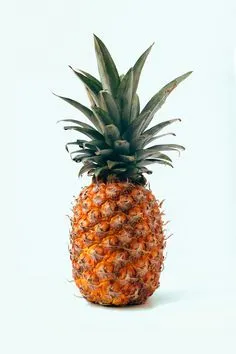 ANANA ORGANICO I UNIDAD