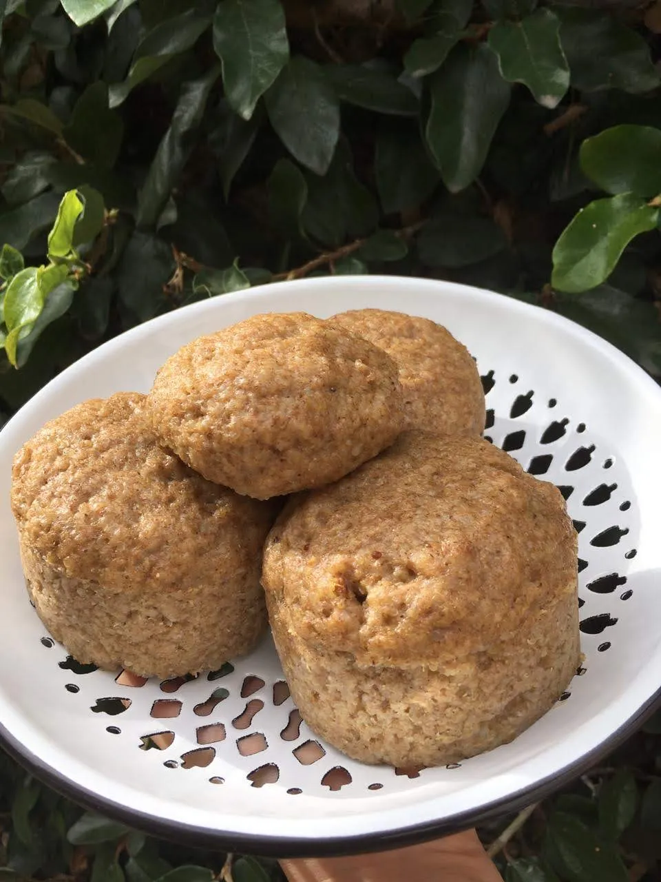 SEITAN I PESO APROX 300GRS -POR ENCARGO!