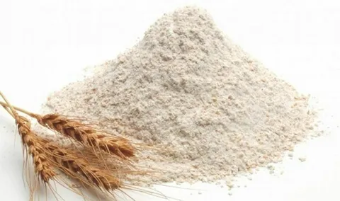 Harina de Trigo Integral Fina"Brotes" Org Cert.  I PESO KILO