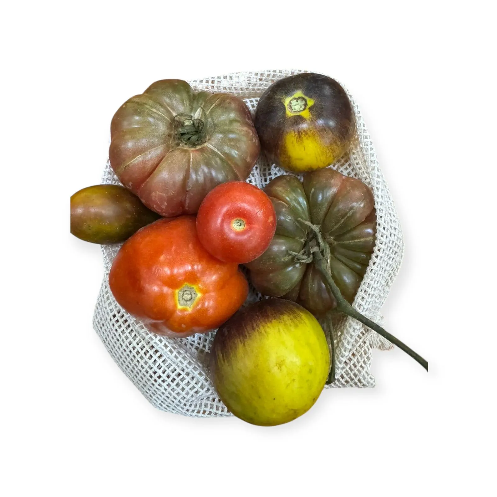 Tomate Reliquia Orgánico I PESO 500GRS