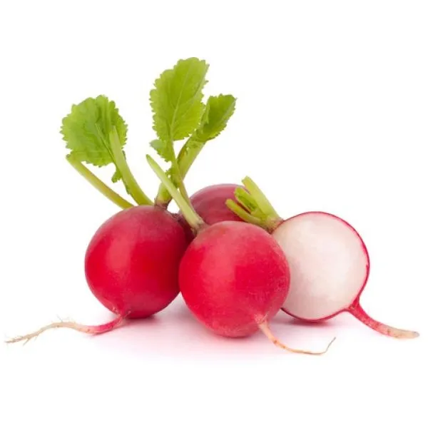 RABANITOS ORG  I ATADO  HUERTA JAPONESA