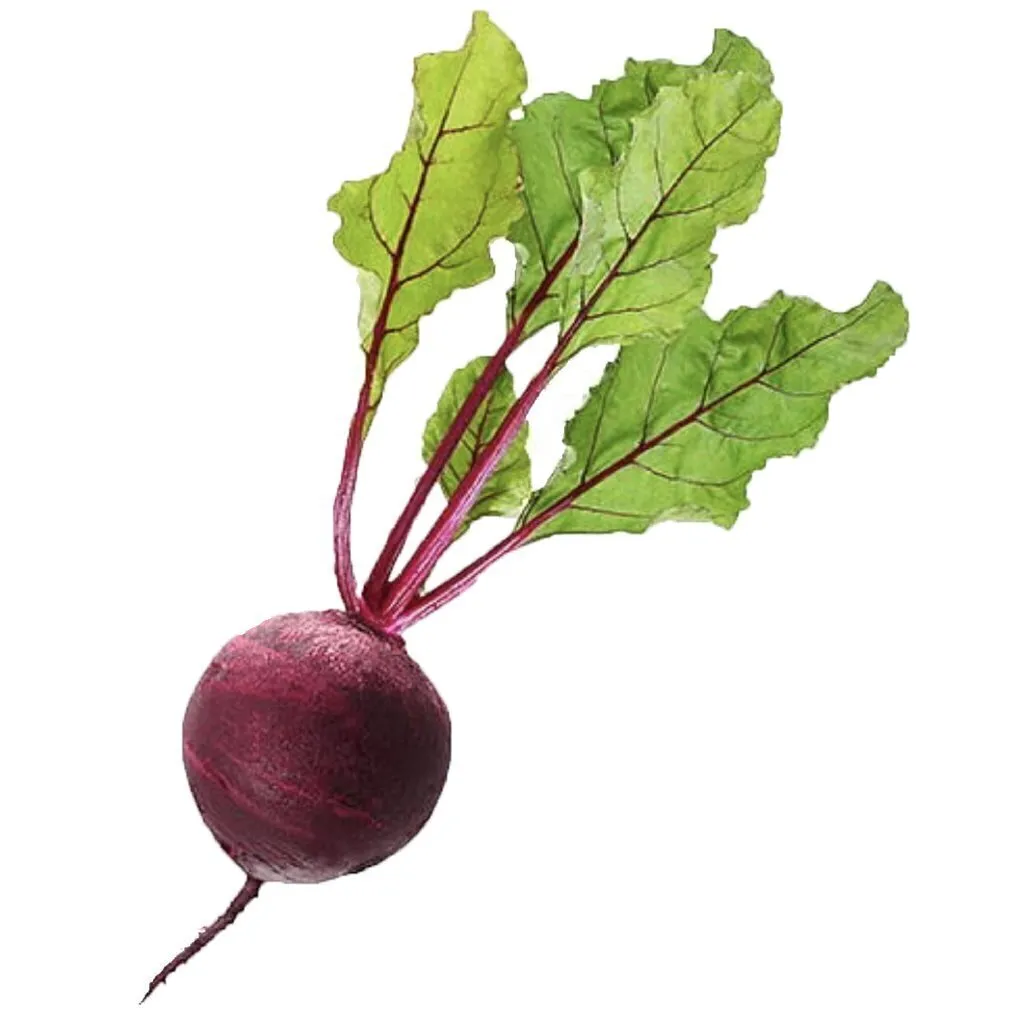 REMOLACHA ORG I ATADO HUERTA JAPONESA