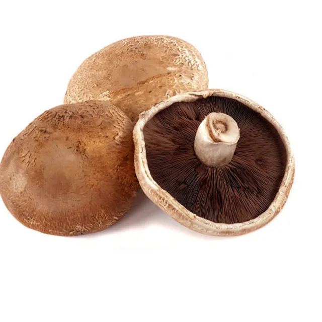 PORTOBELLOS I PESO 100GRS