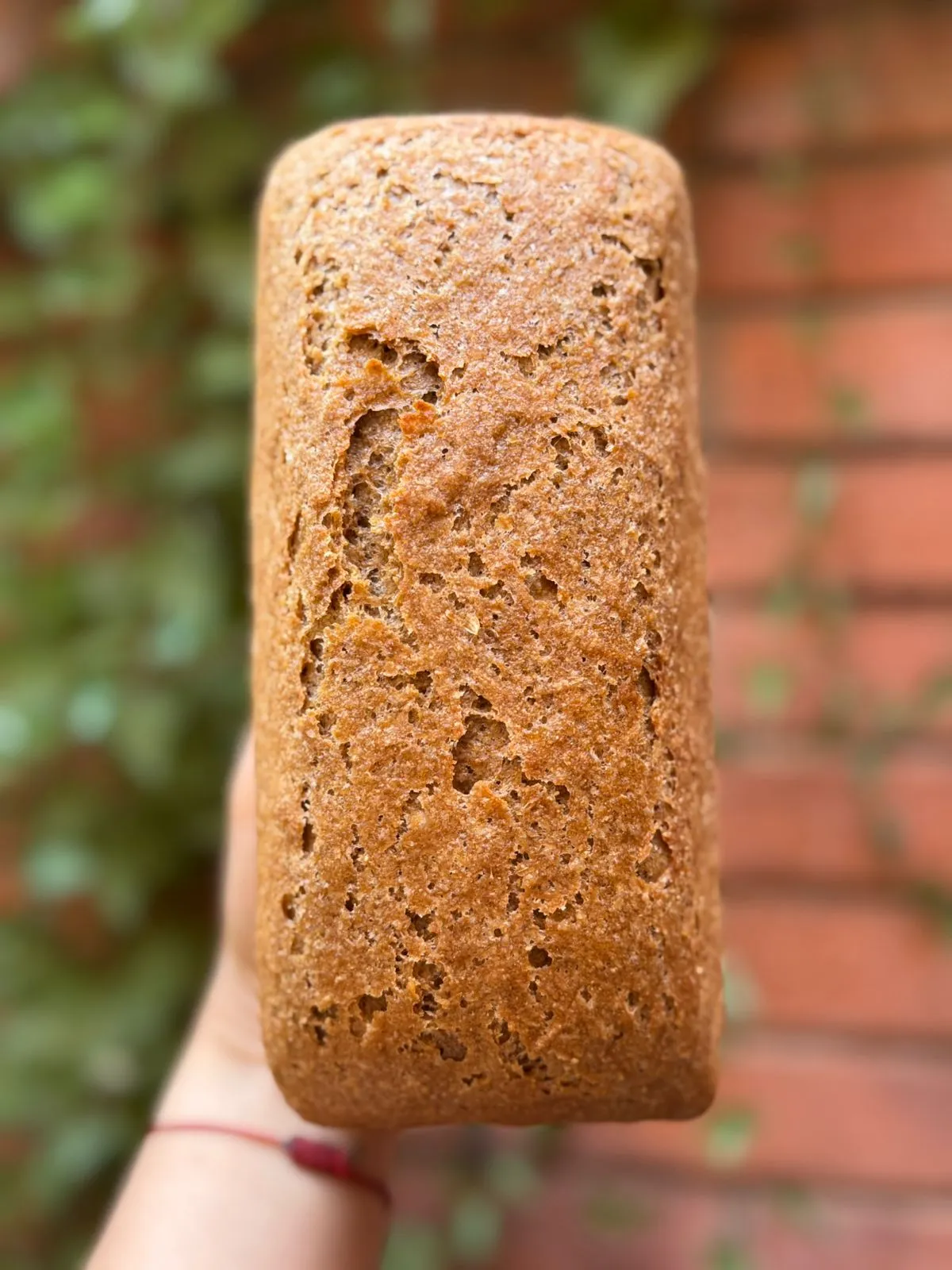 PAN DE ARROZ INTEGRAL BY HATO MUGI