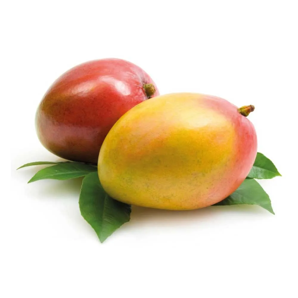 MANGO ORG POR UNIDAD