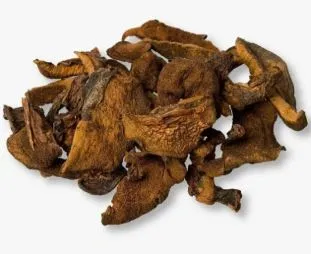 Hongos de Pino   I PESO 50 grs