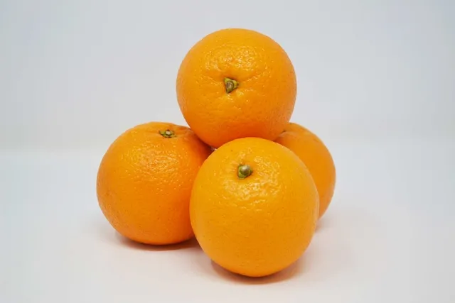 NARANJA SALUSTIANA ORG I KILO