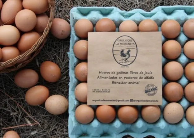 Maple "La Morenita Orgánico"  30 HUEVOS